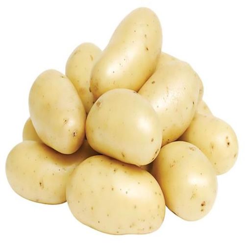 Batata