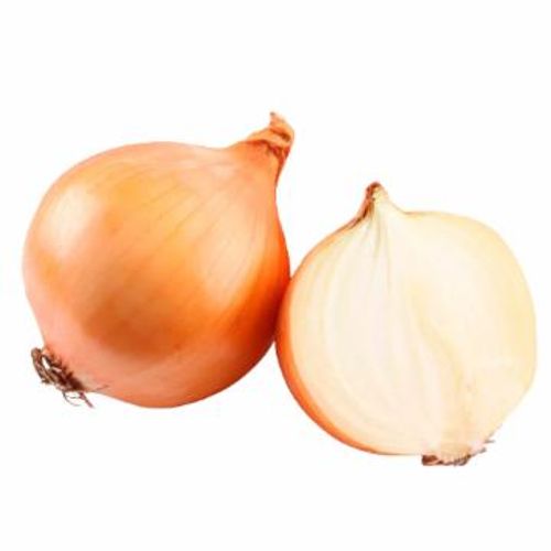 Cebola