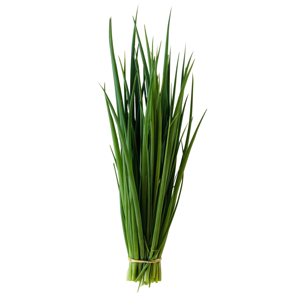 Cebolinha Pacote