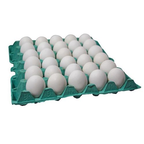 Ovo Branco C/20